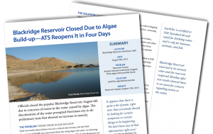 BlackRidge Reservoir Case Study Preview