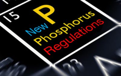 What Are the New State Phosphorus Regulations I Need to Know?