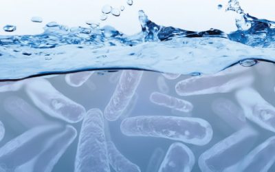 How Innova MB™ Products Promote Biological Oxidation in Wastewater